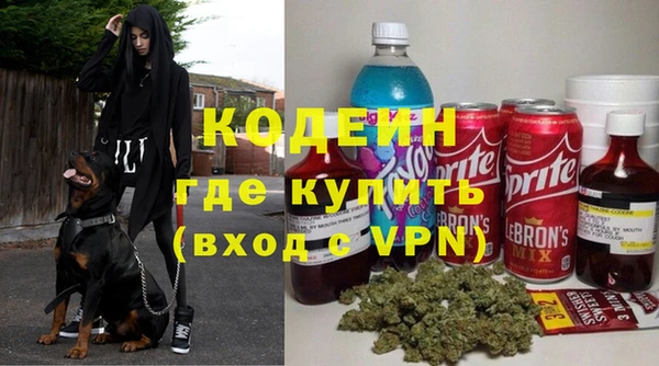 стаф Балахна