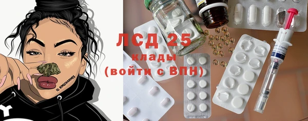 гашик Сатка